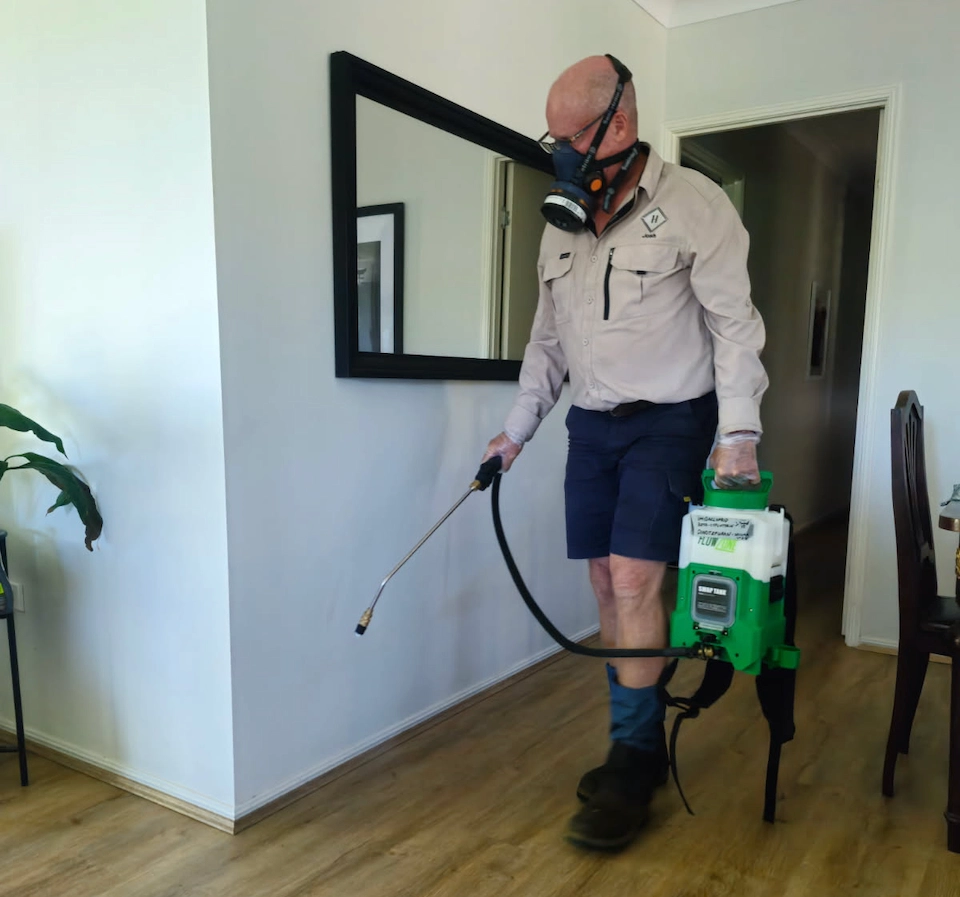 Professional pest control technician performing internal treatment with protective gear